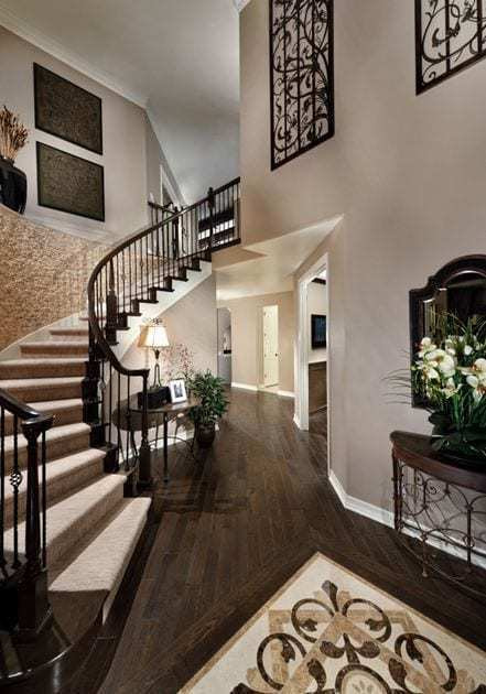 Nova basement idea concept Nova basement idea concept